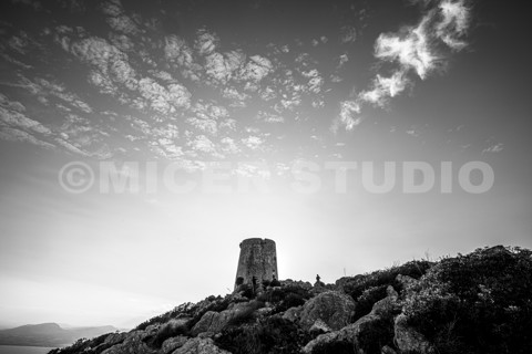 Fine art Mallorca